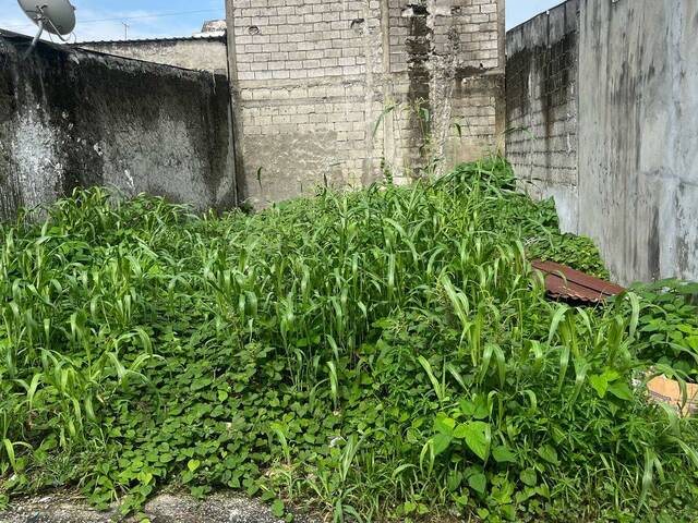 Terrenos para Venta en Guayaquil - 4
