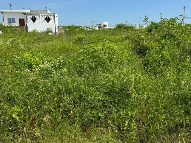 #1200 - Terrenos para Venta en Santa Elena - SE - 1