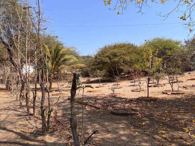 #1225 - Terrenos para Venta en General Villamil - G - 3
