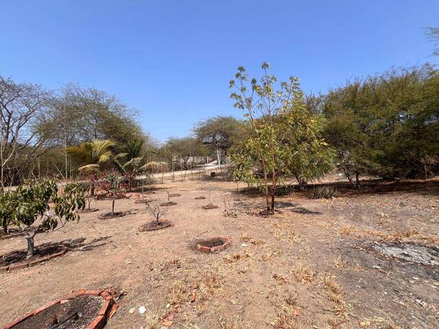 #1225 - Terrenos para Venta en General Villamil - G - 1